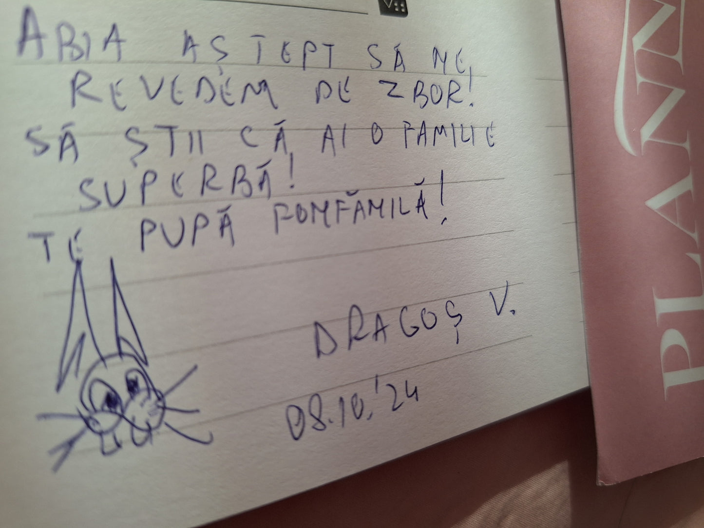 Instrucțiuni pentru piloti- roz