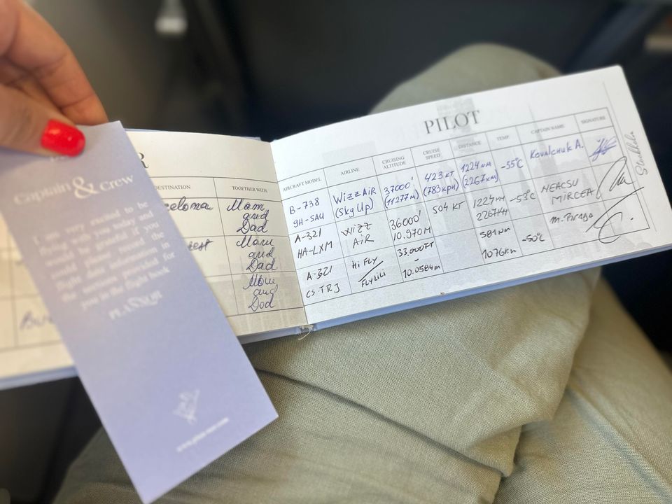 Instrucțiuni pentru piloți-blue