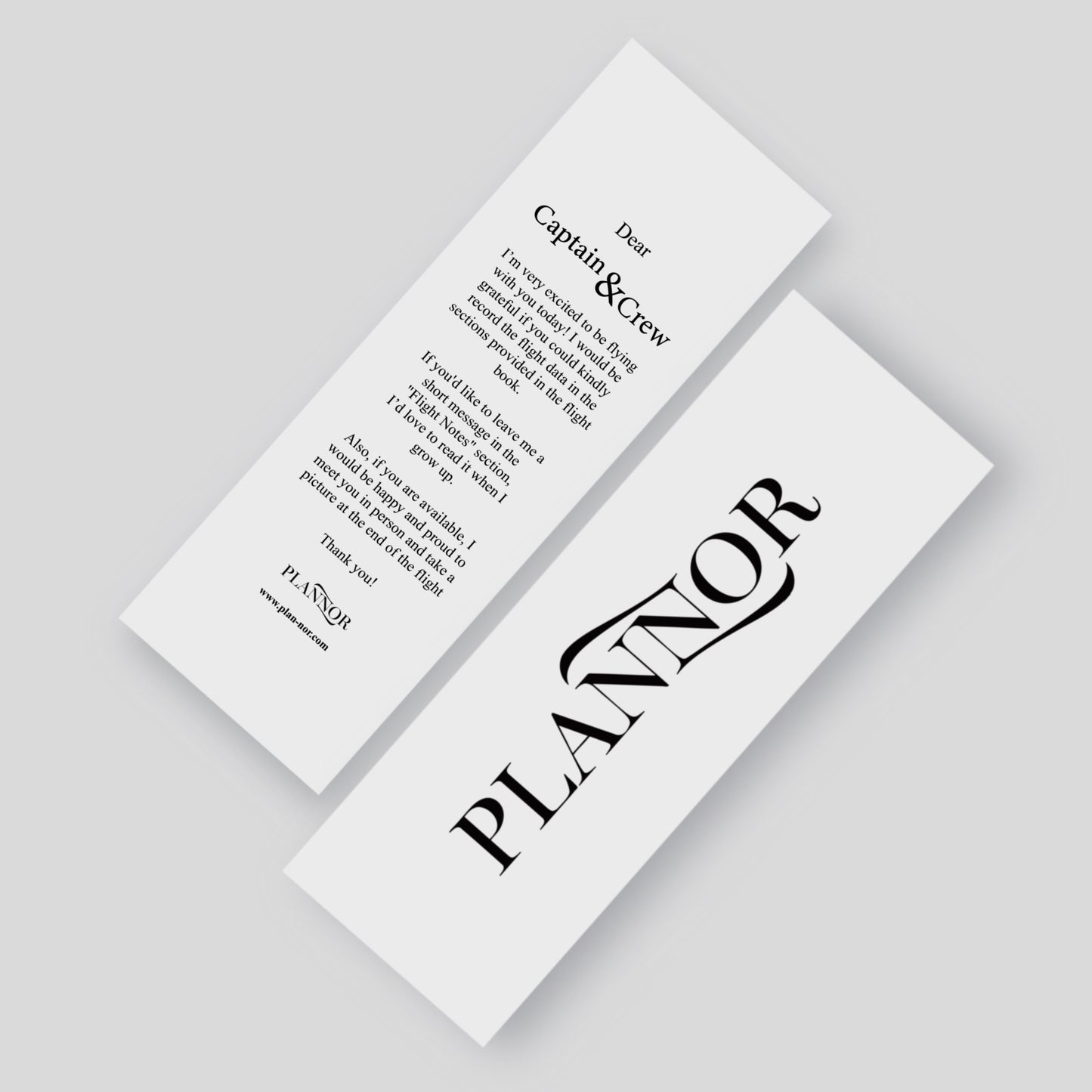 Instrucțiuni pentru piloți