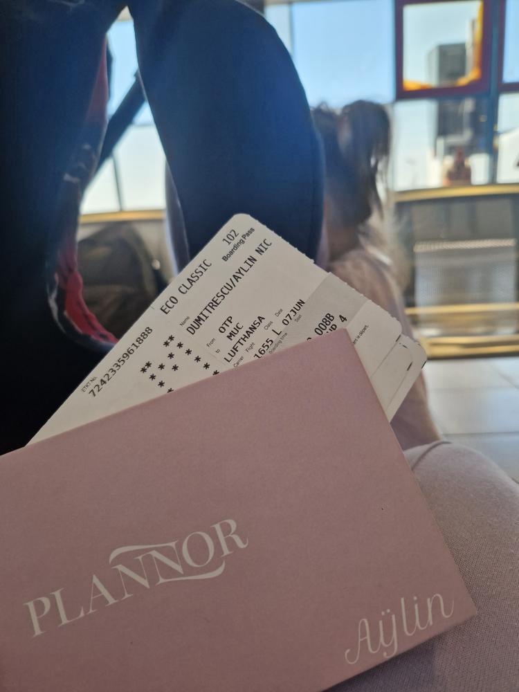 Jurnal de zbor roz - Le Soleil a Paris