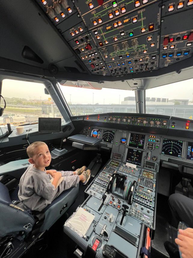 Jurnal de zbor verde- Aripi de curaj