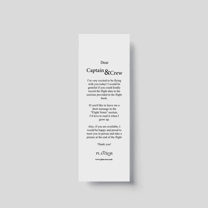 Instrucțiuni pentru piloți